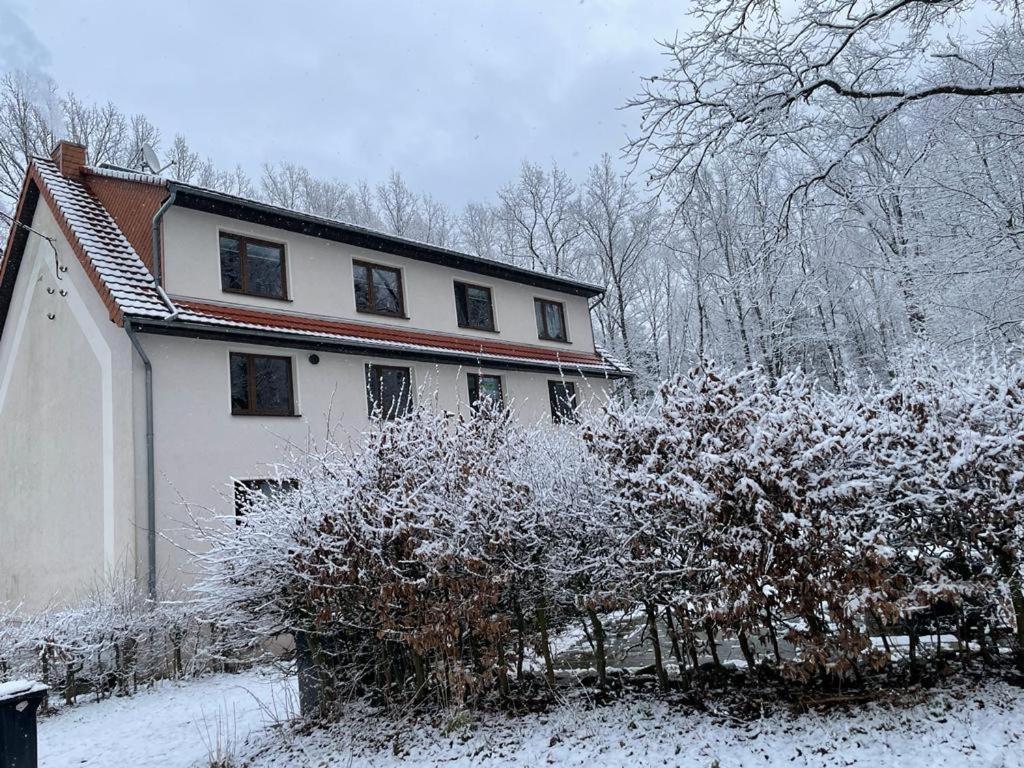 Apartment Am Hochwald Reinhardtsdorf-Schona エクステリア 写真