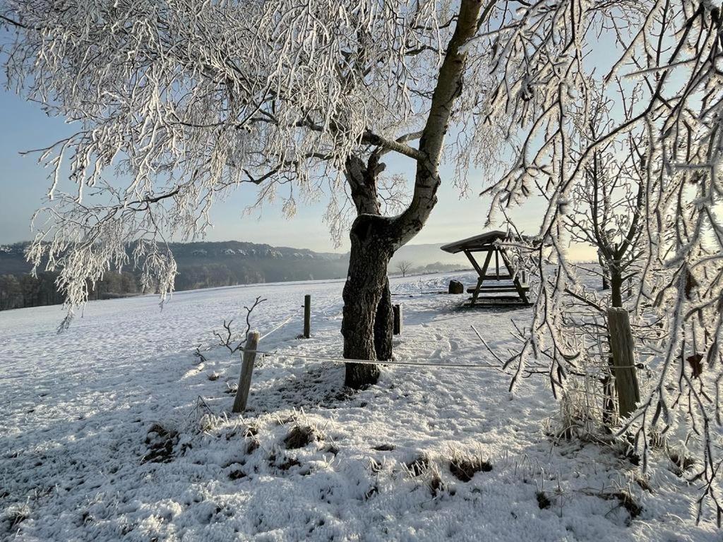 Apartment Am Hochwald Reinhardtsdorf-Schona エクステリア 写真