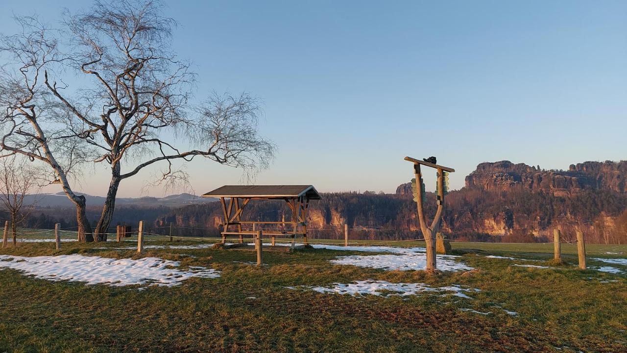 Apartment Am Hochwald Reinhardtsdorf-Schona エクステリア 写真