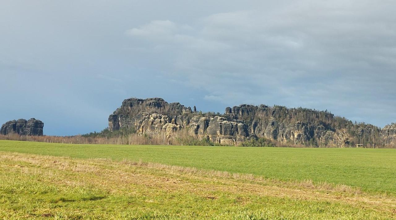 Apartment Am Hochwald Reinhardtsdorf-Schona エクステリア 写真